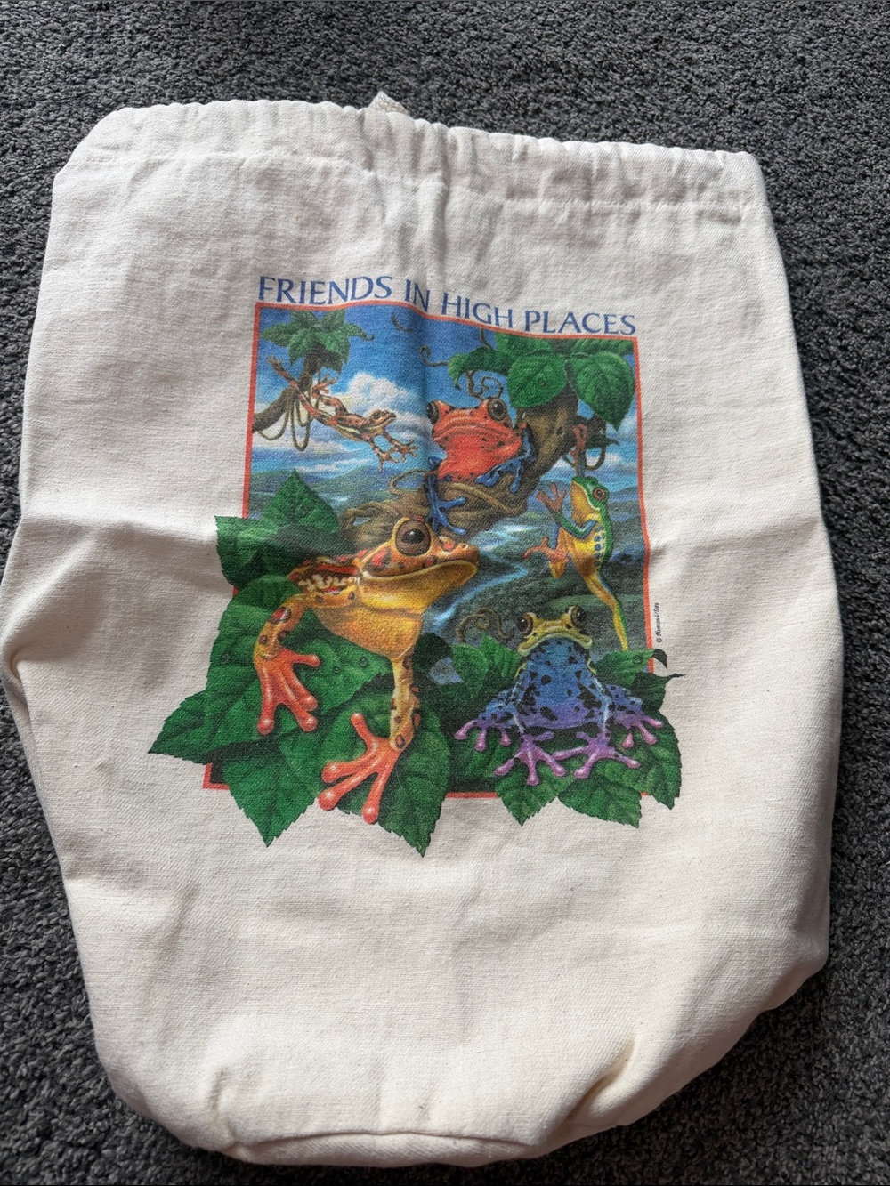 Vintage Human i Tees Rainforest Frogs Friends High Places Backpack Napsack Y2K